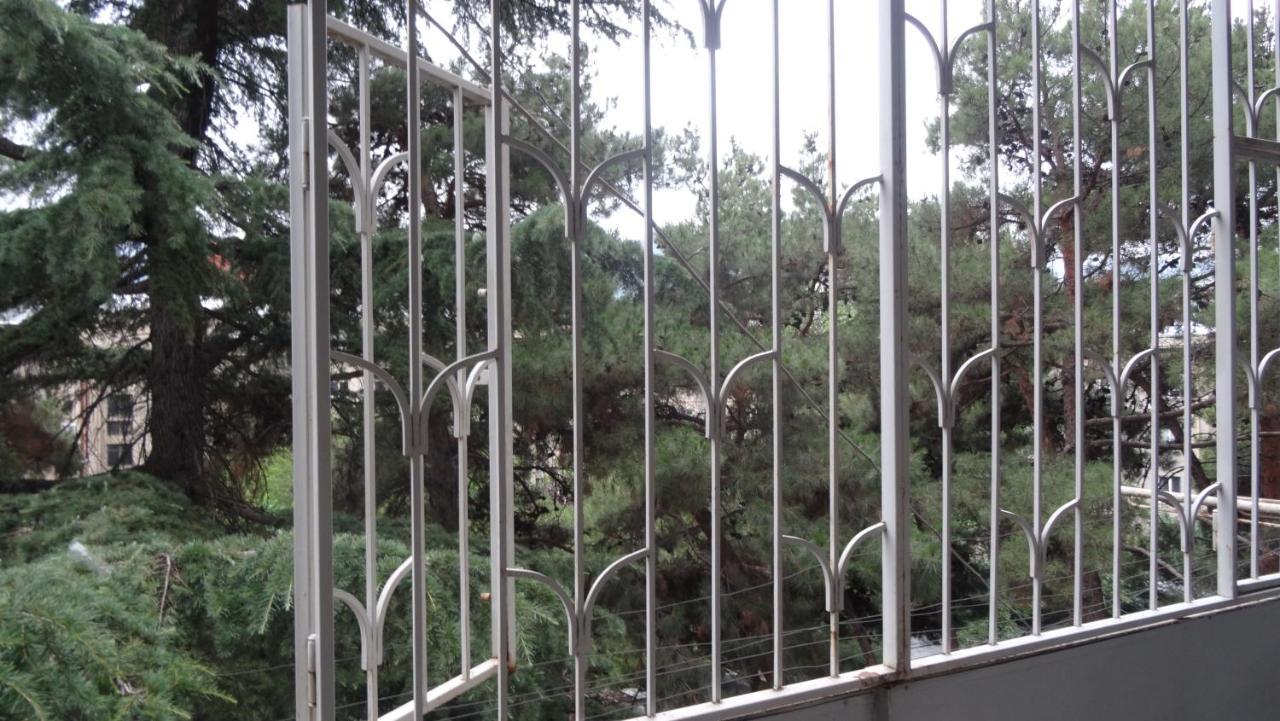 Apartment Vake-Saburtalo Tbilisi Zewnętrze zdjęcie